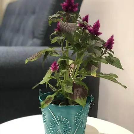 Apartmán Loft Lvu En